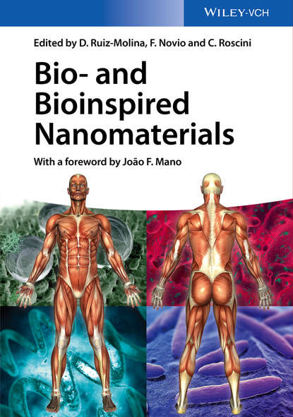 Скачать книгу Bio- and Bioinspired Nanomaterials