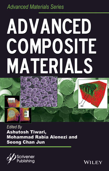 Скачать книгу Advanced Composite Materials