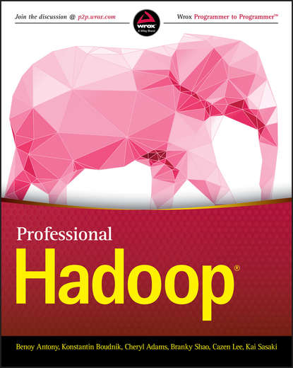 Скачать книгу Professional Hadoop