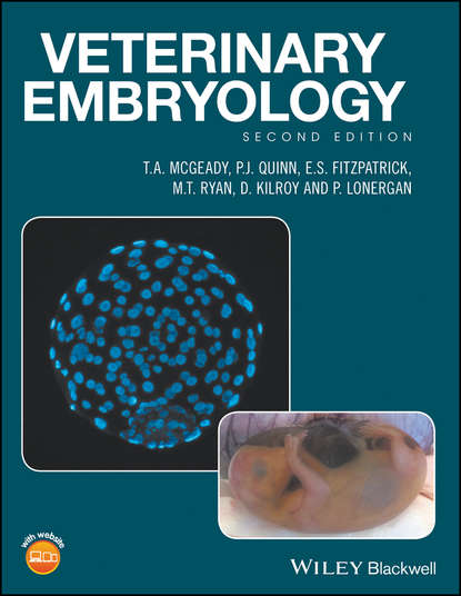Скачать книгу Veterinary Embryology