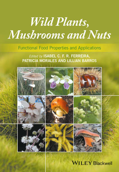 Скачать книгу Wild Plants, Mushrooms and Nuts. Functional Food Properties and Applications