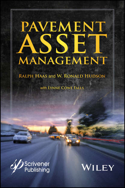 Скачать книгу Pavement Asset Management