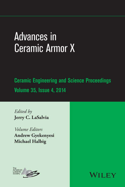 Скачать книгу Advances in Ceramic Armor X