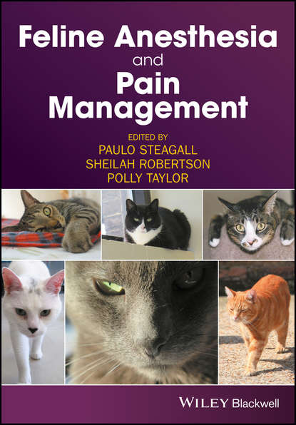 Скачать книгу Feline Anesthesia and Pain Management