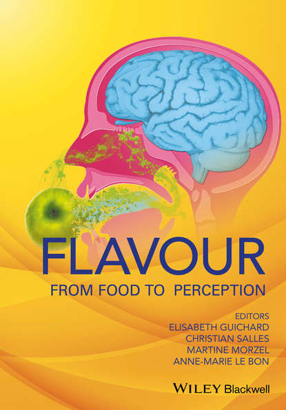 Скачать книгу Flavour. From Food to Perception