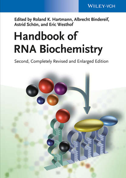 Скачать книгу Handbook of RNA Biochemistry