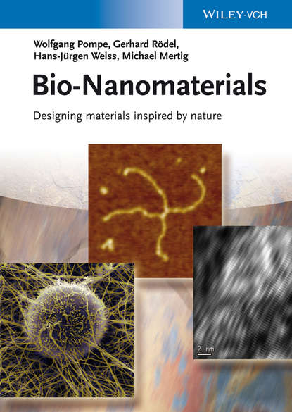 Скачать книгу Bio-Nanomaterials. Designing Materials Inspired by Nature