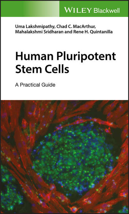 Скачать книгу Human Pluripotent Stem Cells. A Practical Guide