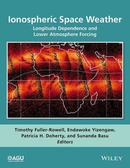 Скачать книгу Ionospheric Space Weather. Longitude Dependence and Lower Atmosphere Forcing