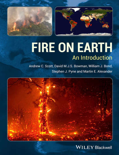 Скачать книгу Fire on Earth. An Introduction