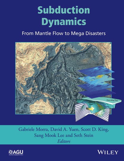 Скачать книгу Subduction Dynamics: From Mantle Flow to Mega Disasters