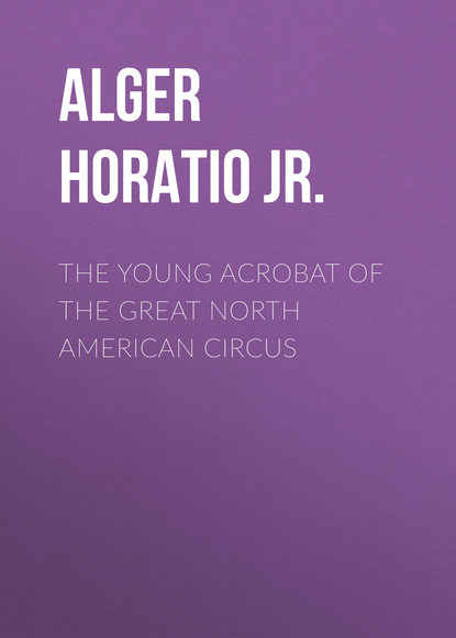 Скачать книгу The Young Acrobat of the Great North American Circus