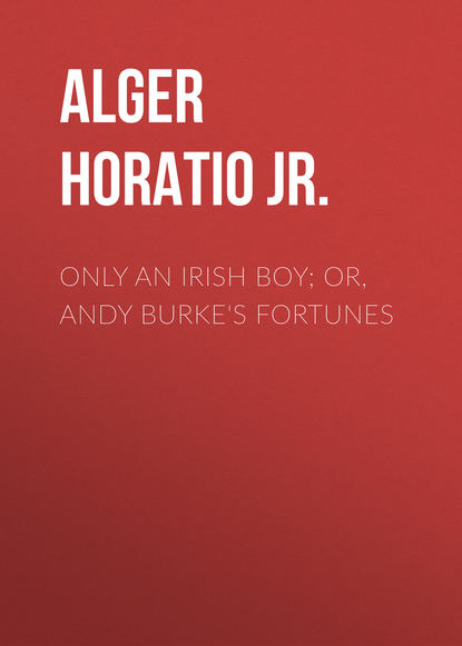 Скачать книгу Only an Irish Boy; Or, Andy Burke's Fortunes