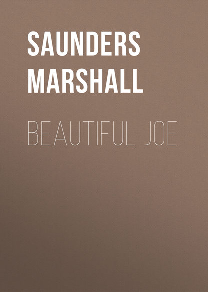 Скачать книгу Beautiful Joe