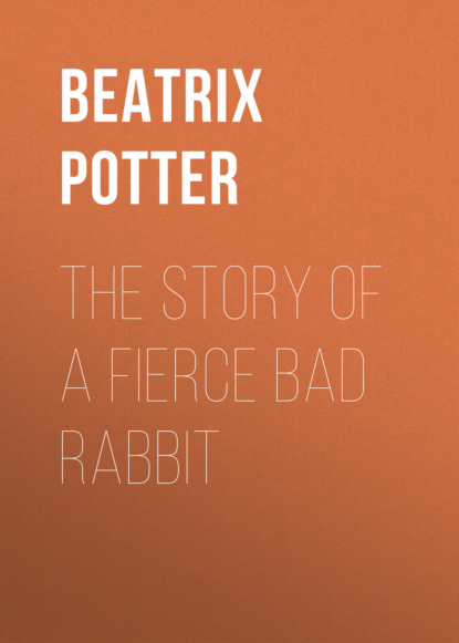 Скачать книгу The Story of a Fierce Bad Rabbit