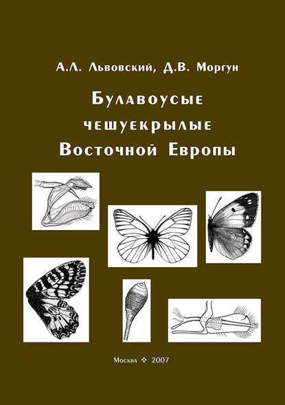 Скачать книгу Булавоусые чешуекрылые Восточной Европы