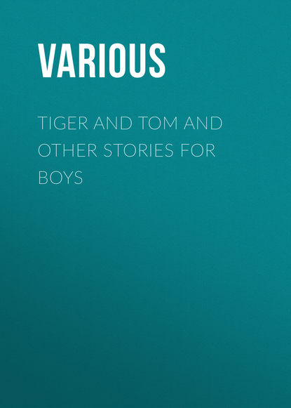 Скачать книгу Tiger and Tom and Other Stories for Boys