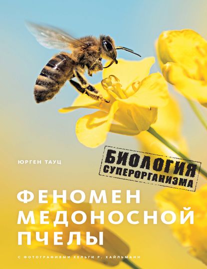 Скачать книгу Феномен медоносной пчелы. Биология суперорганизма