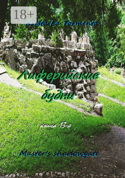 Скачать книгу Master's shadowgate. Лиферийские будни