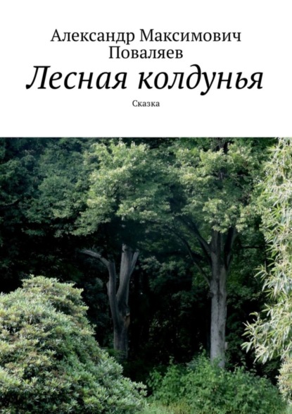 Скачать книгу Лесная колдунья. Сказка