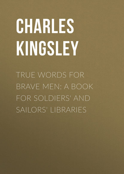 Скачать книгу True Words for Brave Men: A Book for Soldiers&apos; and Sailors&apos; Libraries