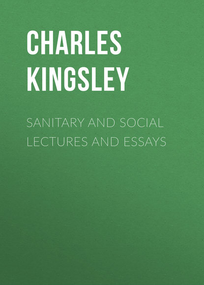 Скачать книгу Sanitary and Social Lectures and Essays