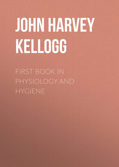 Скачать книгу First Book in Physiology and Hygiene