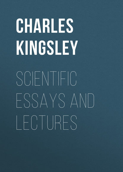 Скачать книгу Scientific Essays and Lectures