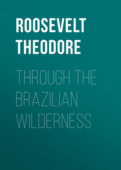 Скачать книгу Through the Brazilian Wilderness