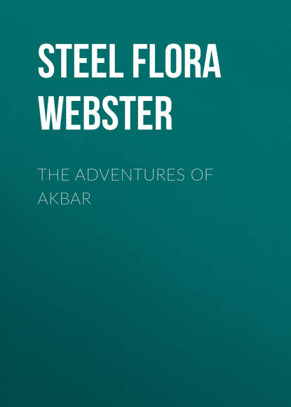 Скачать книгу The Adventures of Akbar