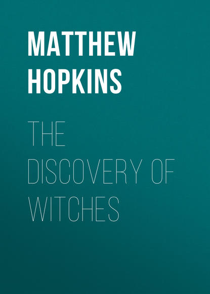 Скачать книгу The Discovery of Witches
