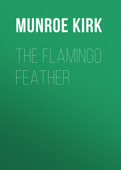 Скачать книгу The Flamingo Feather