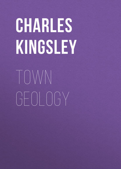 Скачать книгу Town Geology