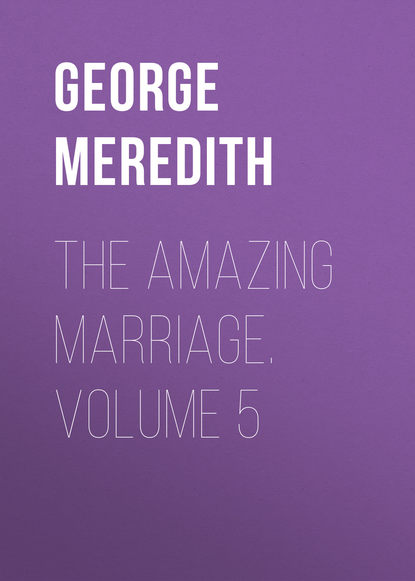 Скачать книгу The Amazing Marriage. Volume 5