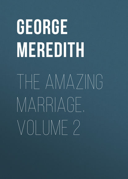 Скачать книгу The Amazing Marriage. Volume 2