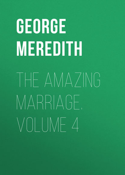 Скачать книгу The Amazing Marriage. Volume 4