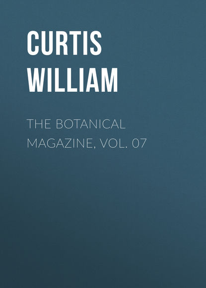 The Botanical Magazine, Vol. 07