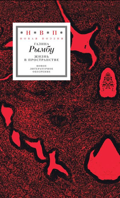 Скачать книгу Жизнь в пространстве (сборник)