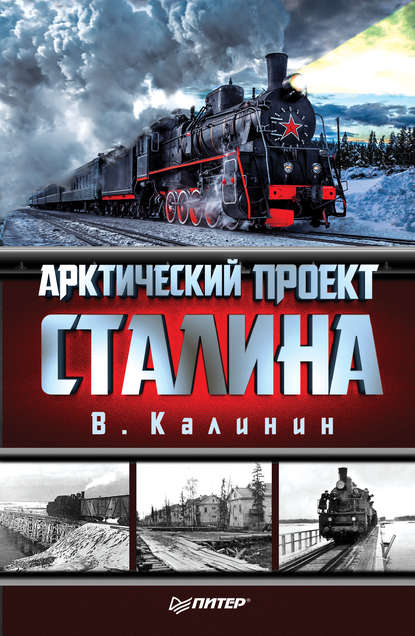 Скачать книгу Арктический проект Сталина