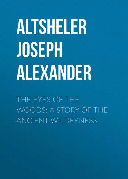 Скачать книгу The Eyes of the Woods: A Story of the Ancient Wilderness