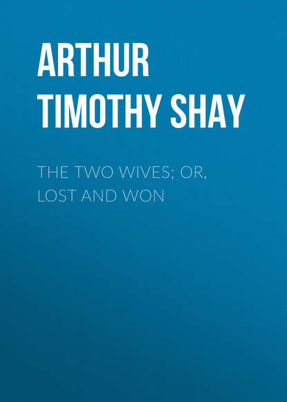 Скачать книгу The Two Wives; Or, Lost and Won