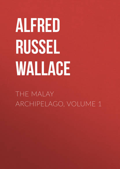 Скачать книгу The Malay Archipelago, Volume 1