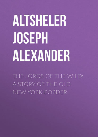 Скачать книгу The Lords of the Wild: A Story of the Old New York Border