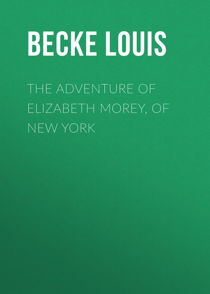 Скачать книгу The Adventure Of Elizabeth Morey, of New York