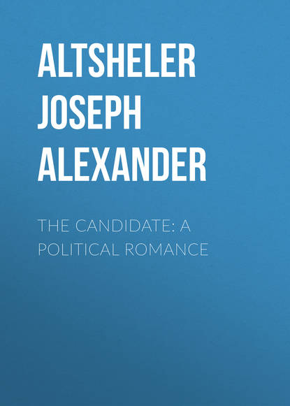 Скачать книгу The Candidate: A Political Romance