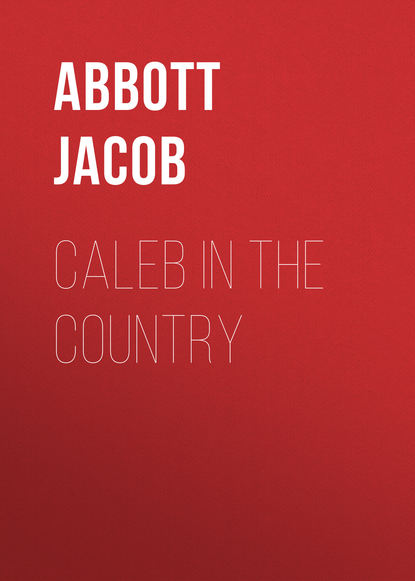 Скачать книгу Caleb in the Country