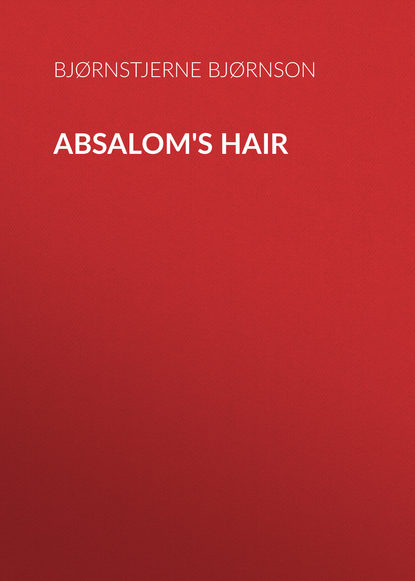 Скачать книгу Absalom&apos;s Hair