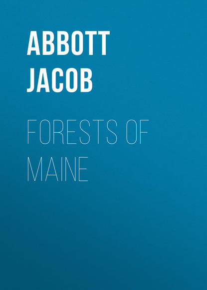 Скачать книгу Forests of Maine