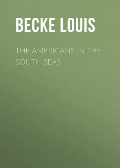 Скачать книгу The Americans In The South Seas