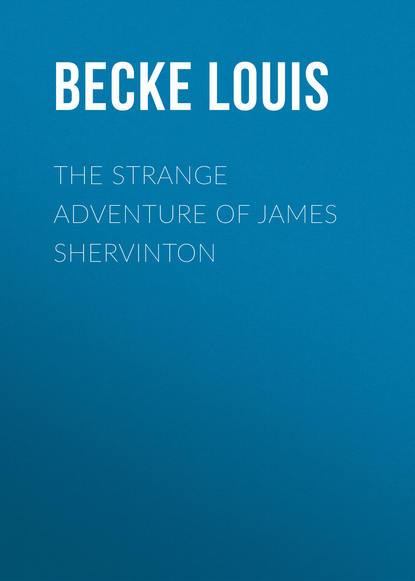 Скачать книгу The Strange Adventure Of James Shervinton